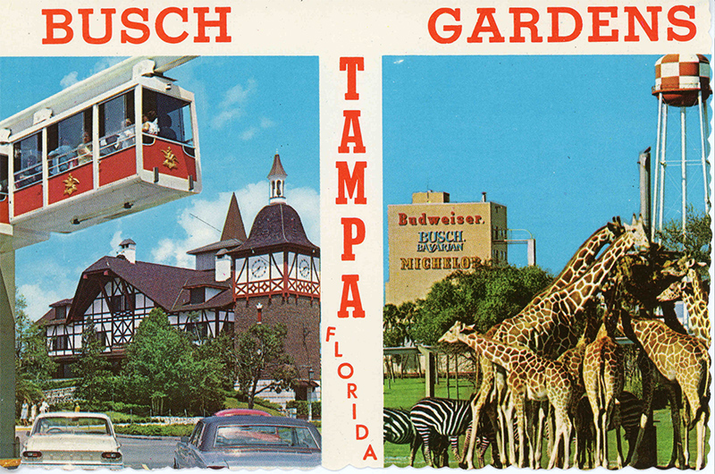 postcard